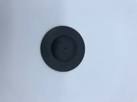WATER SOFTENER CAP GASKET