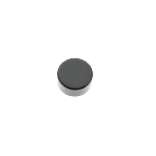 Magnet