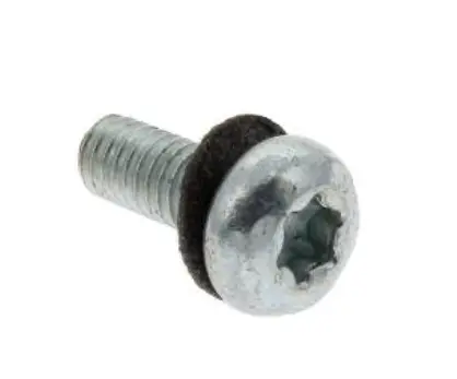 Screw M4 X 10 TCB 6L-T20 ROUND TEMPFLEX