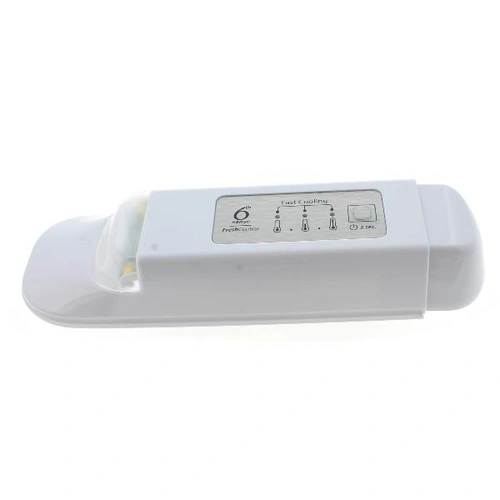 Thermostat electron