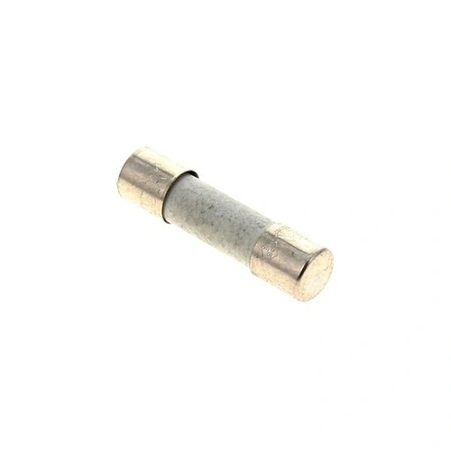 Fuse main 10A - 250V