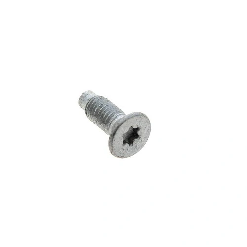 HINGE SCREW M5X14 TSP 6L-T20 90G
