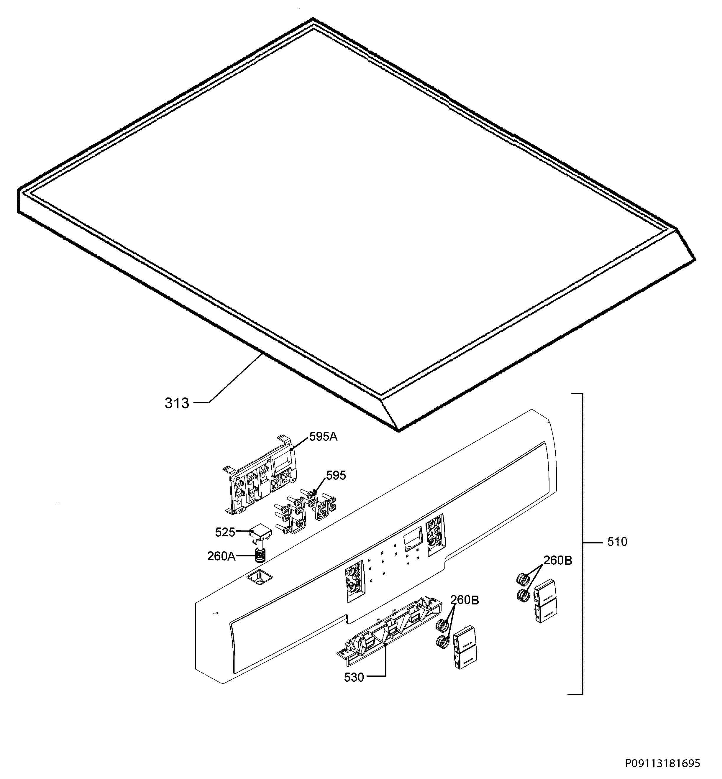 P09113181695.png