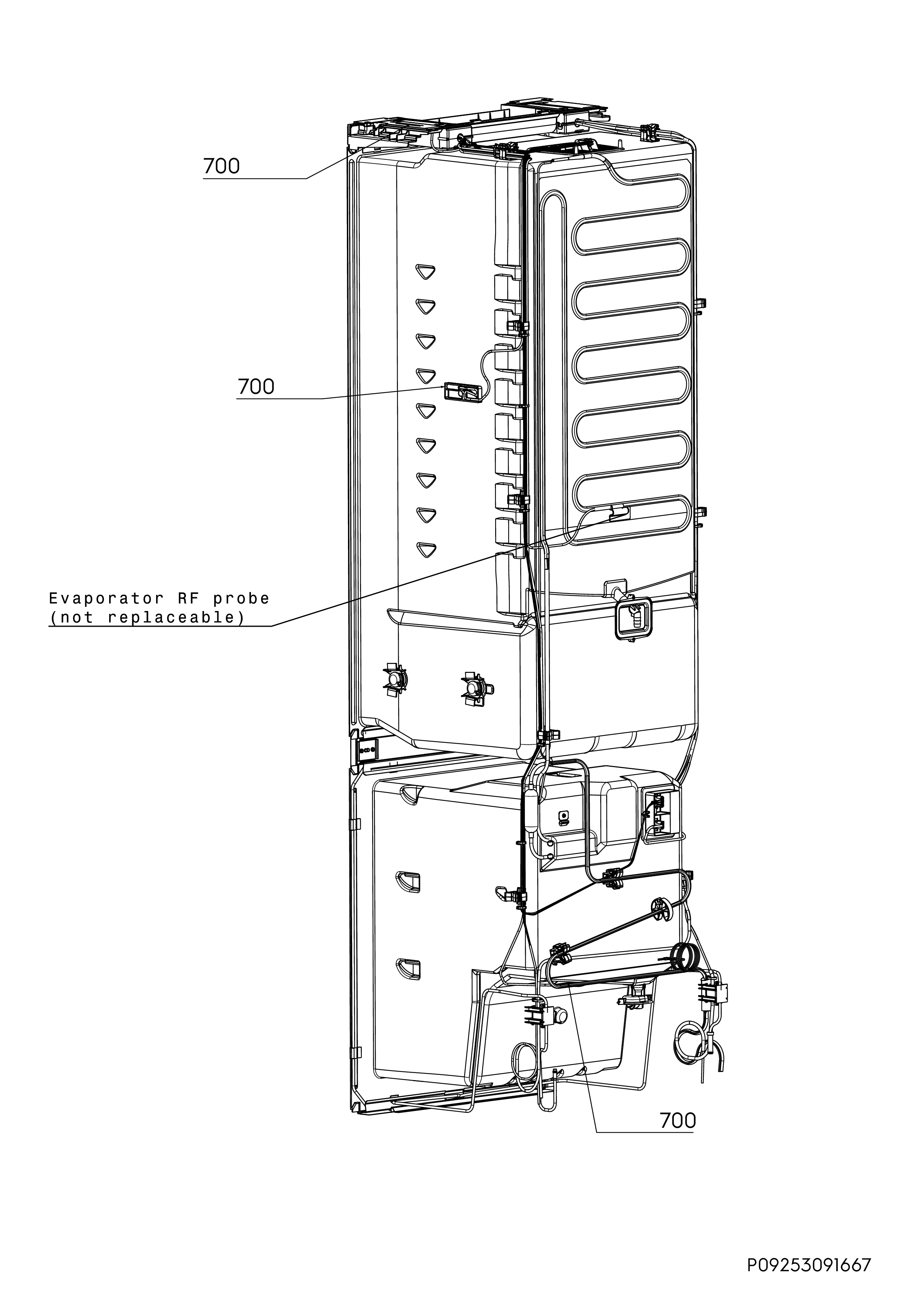 P09253091667.png